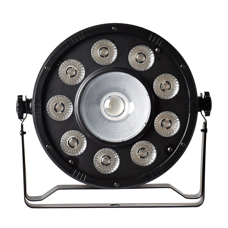 LED PAR 64/250 LED PAR 64/250